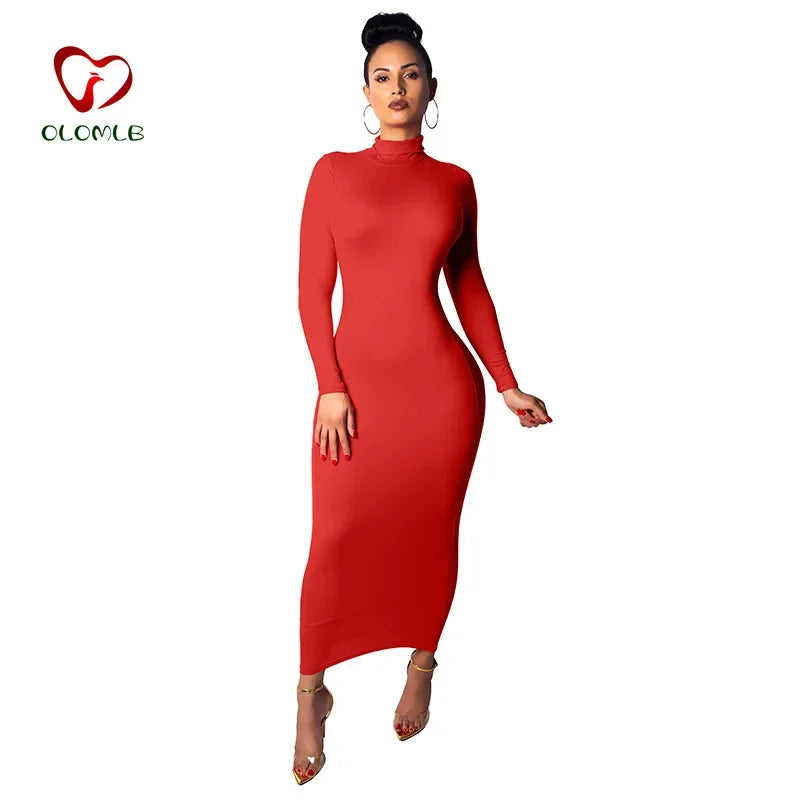 Nadafair Sexy Women Dress Long Sleeve Turtleneck Autumn Winter Solid Casual Basic Black White Bodycon Slim Maxi Dress For Women